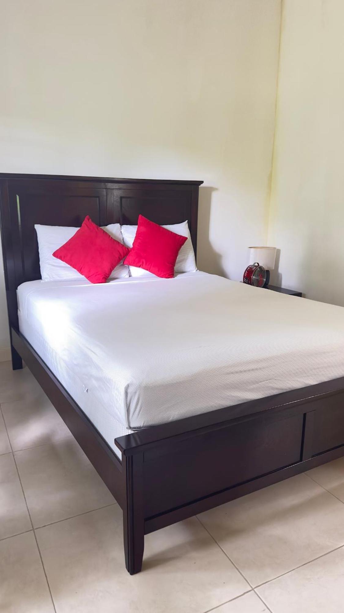 Jamnick Vacation Rentals - Richmond, St Ann, Jamaica Ocho Rios Kamer foto